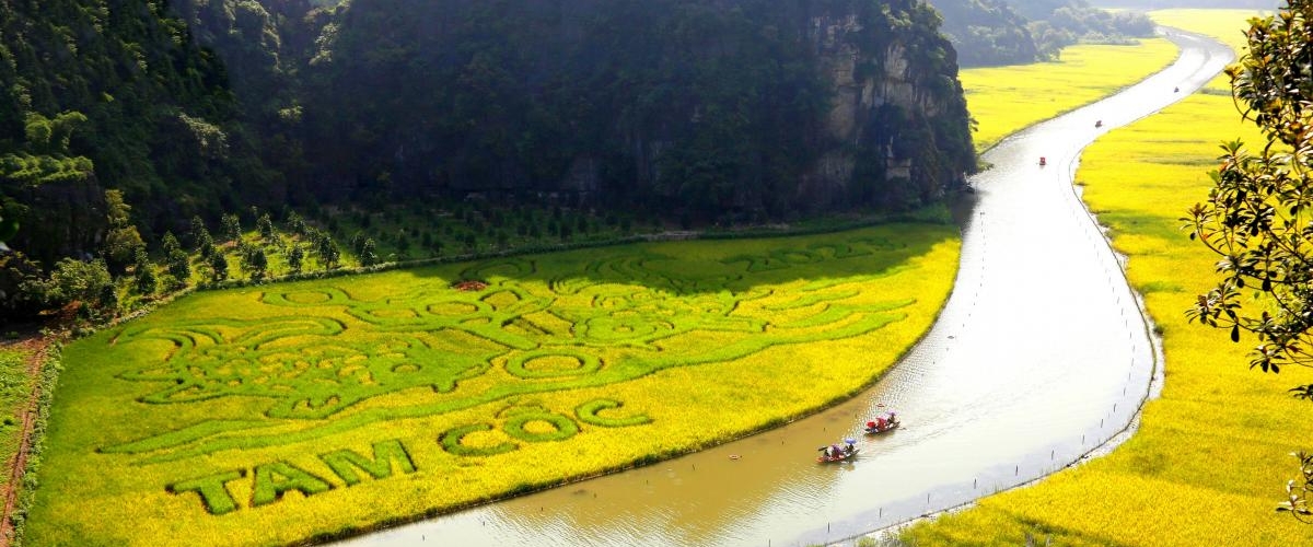 HOA LU - TAM COC - MUA CAVE - 1 DAY TRIP BY LIMOUSINE (Cycling)
