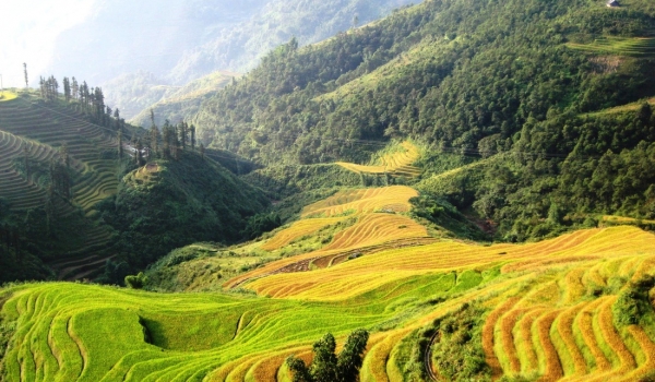 Sapa - Lao Chai - Ta Van - Cat Cat Sapa (FROM SAPA – FULL DAY TOUR)