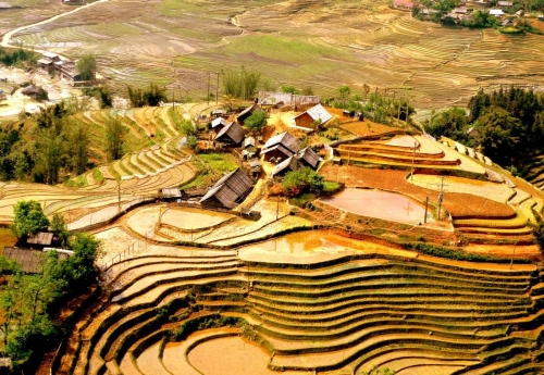 Y LINH HO, LAO CHAI & TA VAN VILLAGES (FROM SAPA – HALF DAY TOUR)