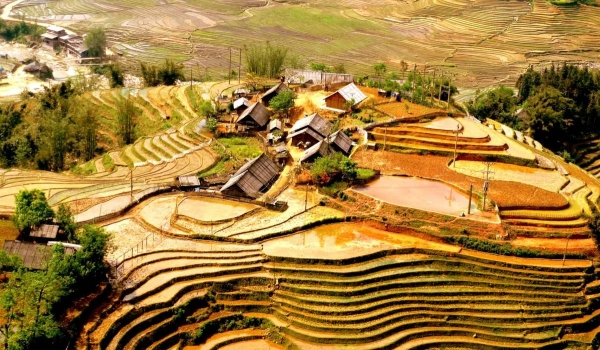 Y LINH HO, LAO CHAI & TA VAN VILLAGES (FROM SAPA – HALF DAY TOUR)