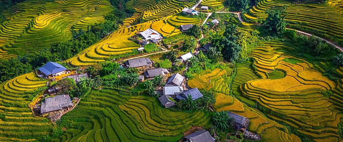 Y LINH HO, LAO CHAI & TA VAN VILLAGES (FROM SAPA – HALF DAY TOUR)