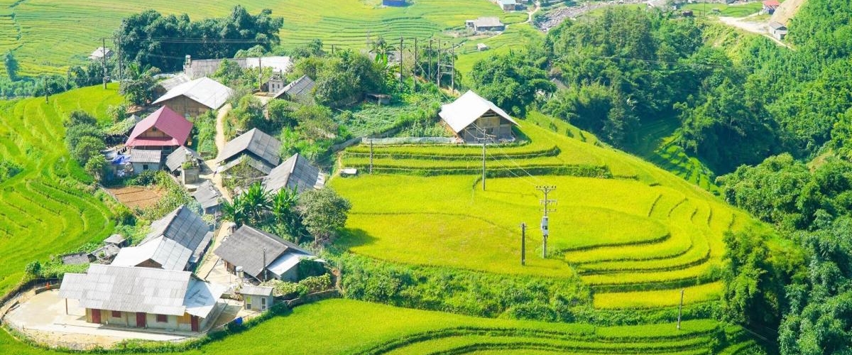 Y LINH HO, LAO CHAI & TA VAN VILLAGES (FROM SAPA – HALF DAY TOUR)