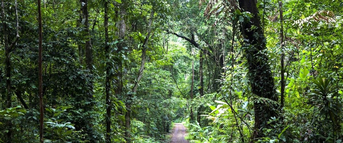 Hanoi Jeep Tour 1 Day Explore Ba Vi National Park
